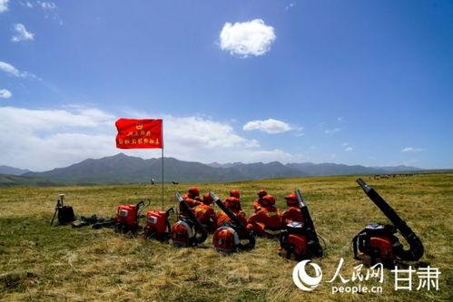 石家庄祁连最新消防爆料,消防全力扑救，情况实时更新